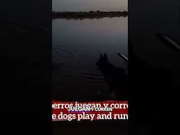 ¡Perros, Fuego y Atardeceres ÉPICOS! ¡Aventura Inolvidable!