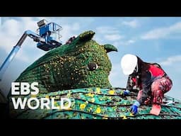 Two Months By Hand 2.5 Million Flowers On 13 Soccer Fields For A World-Class Festival #PICKDOCU