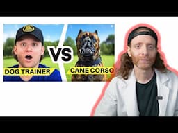 Can Tom Davis Train Without a Prong? Veterinarian Reacts