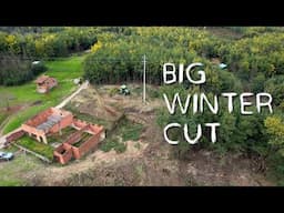 #138 What we did in winter (big chopping operation) + Challenges