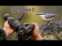 Relaxing POV Nature Photography | M.Zuiko 100-400mm Mark II