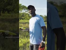 A Near Hole in One in Tanzania!  #discgolf #tanzania