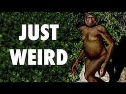 The Strangest Human Ancestor You've Never Heard Of