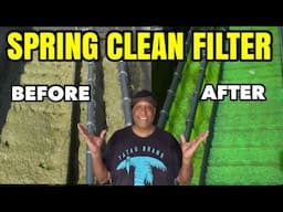 Spring Cleaning my 8,500 gallon Koi Pond!