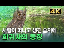 [4K] 365일 물이 마르지 않는 땅 습지의 놀라운 비밀 ‘신비로운 산책 월영습지 1부’ / YTN 사이언스