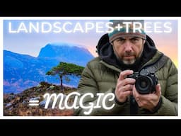 How to Photograph Trees in the Landscape | Tips for Stunning Tree Photography