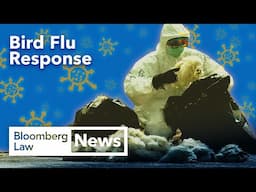 Is the Trump White House Doing Enough to Fight Bird Flu Spread?