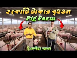 পশ্চিমবঙ্গে ২ কোটি টাকার বৃহত্তম Pig Farm |  Big Pig Farm | শুকর পালন | Star Feed | Pig Farming