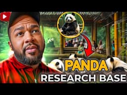 PANDAS in China Are More AMAZING Than You Think