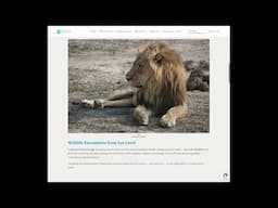 Zimbabwe Safari Wildlife & Conservation