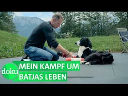 Mein schwerkranker Hund – Heilung um jeden Preis? | WDR Doku