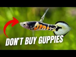 10 Fish to Avoid Like The Plague