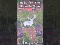 Bullet Trace in Slow Motion #deerhunting #tacticalshooter #longrange