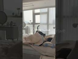 집순이 직장인의 데일리루틴 🏡💭 #직장인도시락 #저당도시락 #식단도시락 #그레인보우