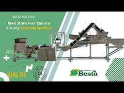 Reed Straw Visually Selecting Machine, Straw Quality Control Machine