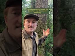A Beautiful Diversity of Mosses on Different Species of Trees