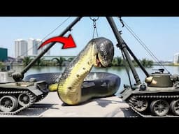 Workers Spot Giant Snake - You Won’t Believe What They Found Inside!