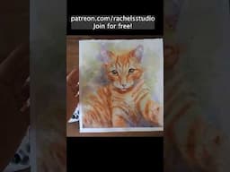 Preview of my new yellow orange marmalade tabby cat watercolor painting #watercolorpainting #catart