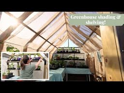 Greenhouse Makeover | Plant Shelves & Shading for Summer!
