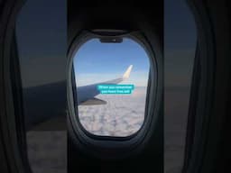 #freewill #travel #catchflightsnotfeelings