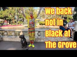 We’re back not in black at the Grove