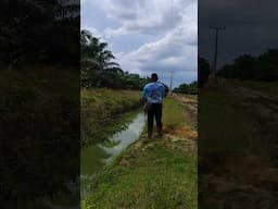ayo mancing #fishing #mancing #gabussuper #castinggabusbesar #mancingmania #uqi2017