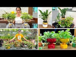 Relax with unique indoor plants, simple recycling ideas from plastic bottles