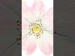 Wild rose watercolour painting  - Close up