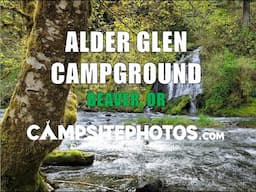 Alder Glen Campground, OR