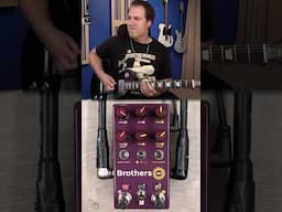 High Gain w/ @ChaseBlissAudio Brothers AM #guitar #guitarpedal #chasebliss #pedalsandeffects
