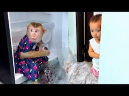 Monkey Kaka and Diem sitting eating fruit in the refrigerator is so funny