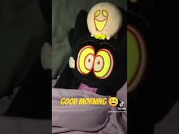 Greeting a Sleepy Barnaby be like... #billiebustup #mornings #shorts
