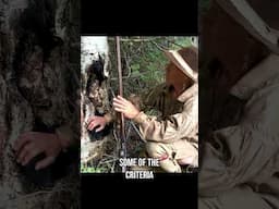 Chaga - The Ancient Fire Starter & Tea - How to Harvest It!