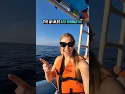 Whale watching in San Agustinillo, Oaxaca