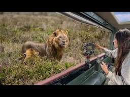 Kenya’s Most Underrated Safari Destinations (Lake Nakuru & Naivasha)