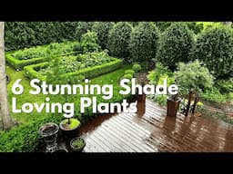 6 Stunning Shade-Loving Perennials and 1 I Regret Buying