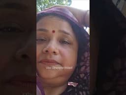 #minivlog गर्मी का जो level था भाईसाहब 😰😭#shorts #thelifestyletales #familytrip #mayapuriskon #2025