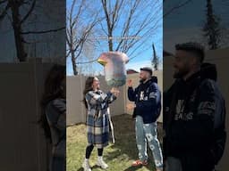Gender Reveal - Boy or Girl ?