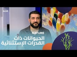 Nature - 17/06/2025 - الحيوانات ذات القدرات الإستثنائية