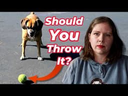 The Great Fetch Debate | Vet's Voice
