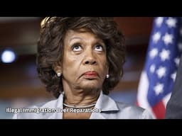 Your Favorite Black Politician Chose Illegal Immigration Over Reparations.