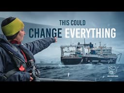 What’s Happening in Antarctica Threatens More Than You Think