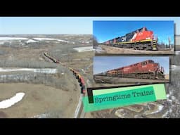 Springtime trains