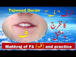 How to pronounce letter Fa ( ف ) in Arabic | Makhraj of Fa  letter in Tajweed #quran #tajweed