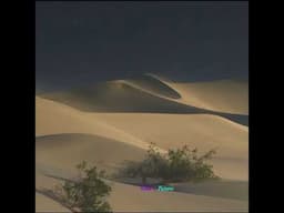 Dune Sands            #africa #nature #wildlife #africansafari