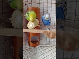 🥰🥰🥰🥰