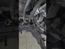 black fluid film for the win with rust prevention. 2011 Edge 212,000 miles #fluidfilm
