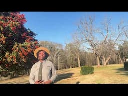 The SC State Militia & Its Evolution After the Civil War