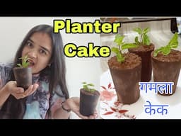 Planter Cake that you can eat! | खाने वाला गमला केक | Trending Chocolate Pot Cake