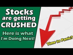 Stocks in a Free Fall: What’s Your Next Move?